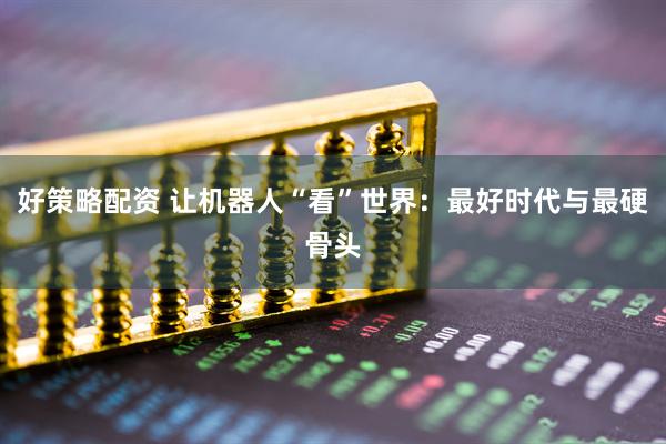 好策略配资 让机器人“看”世界：最好时代与最硬骨头