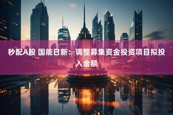 秒配A股 国能日新：调整募集资金投资项目拟投入金额