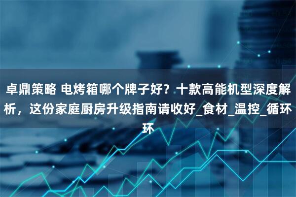 卓鼎策略 电烤箱哪个牌子好？十款高能机型深度解析，这份家庭厨房升级指南请收好_食材_温控_循环