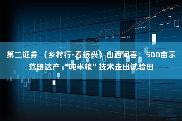 第二证券 (乡村行·看振兴)山西闻喜:500亩示范田达产 “吨半粮”技术走出试验田